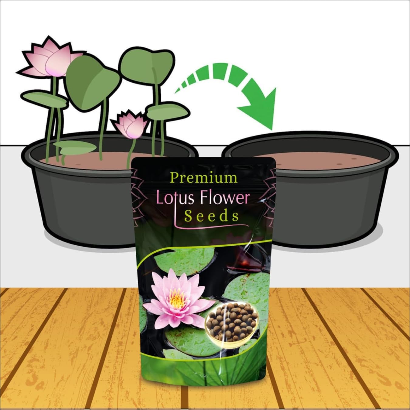 Lotus Flower Seeds For Home Garden Planting (Pack Of 100)