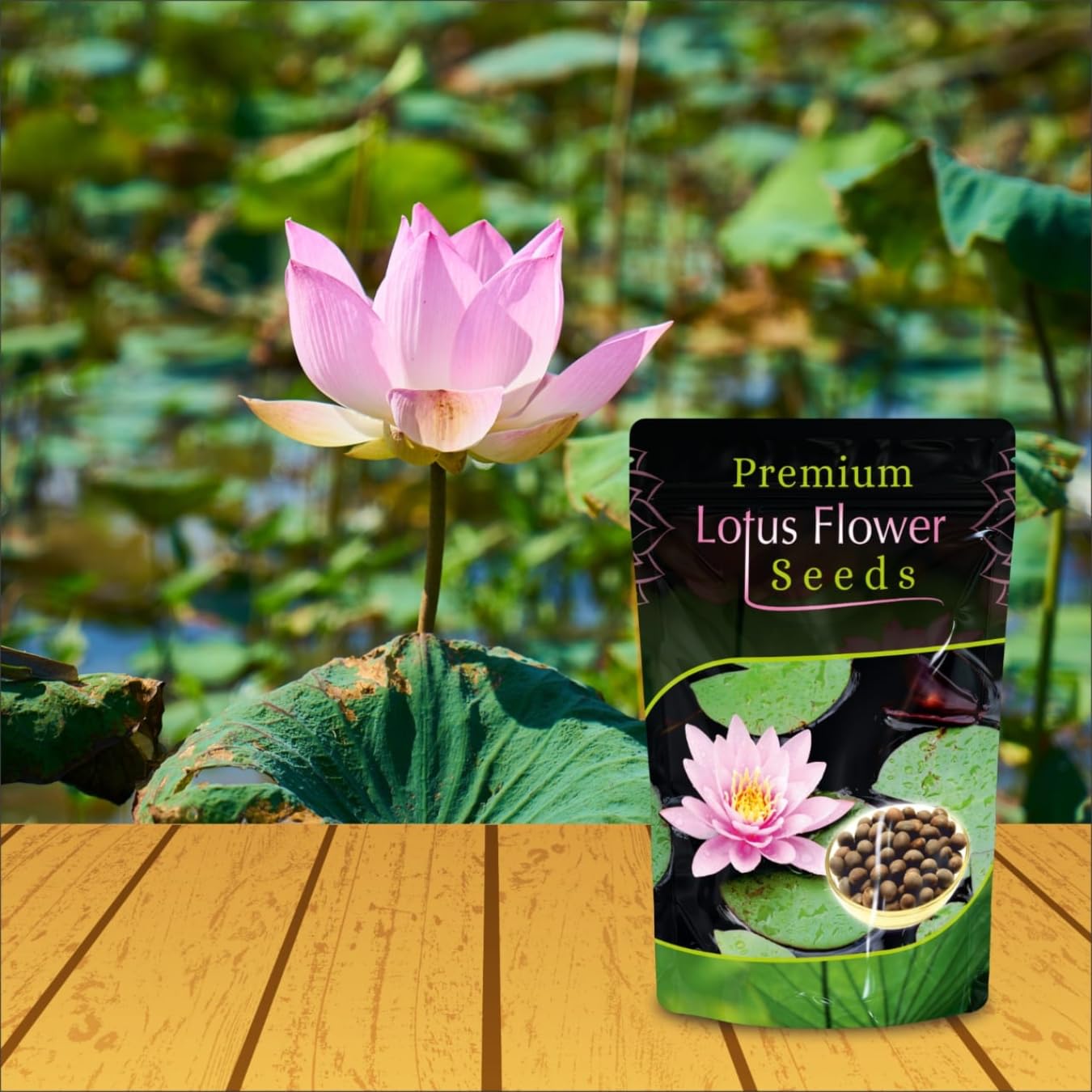 Lotus Flower Seeds For Home Garden Planting (Pack Of 100)