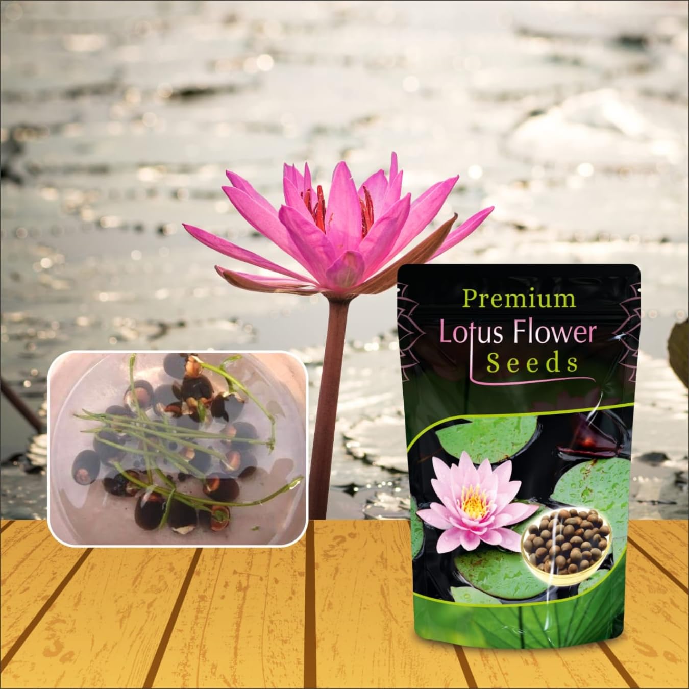 Lotus Flower Seeds For Home Garden Planting (Pack Of 100)