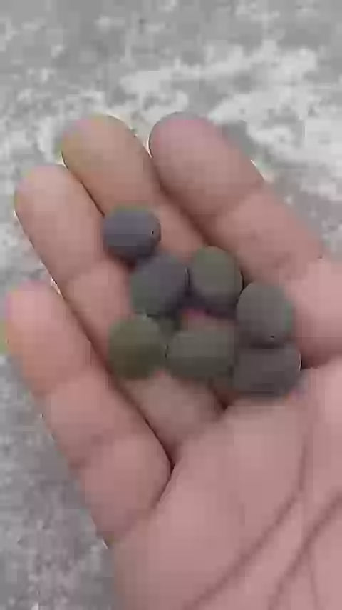 Lotus Flower Seeds For Home Garden Planting (Pack Of 100)