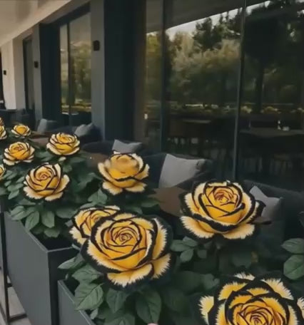 Eclipse Rose Seeds Pack of 1